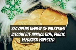SEC Opens Review of Valkyries Bitcoin ETF Application, Public Feedback Expected