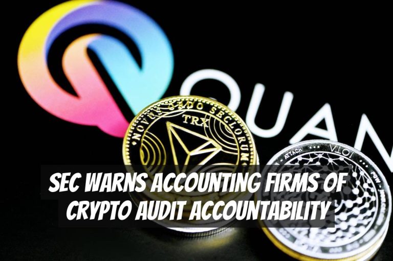 SEC Warns Accounting Firms of Crypto Audit Accountability