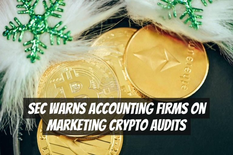 SEC Warns Accounting Firms on Marketing Crypto Audits