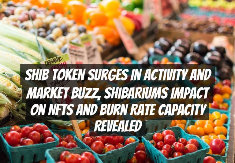 SHIB Token Surges in Activity and Market Buzz, Shibariums Impact on NFTs and Burn Rate Capacity Revealed