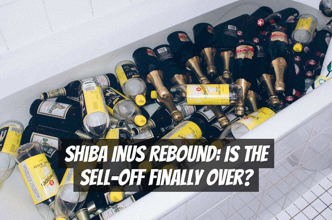 Shiba Inus Rebound: Is the Sell-Off Finally Over?
