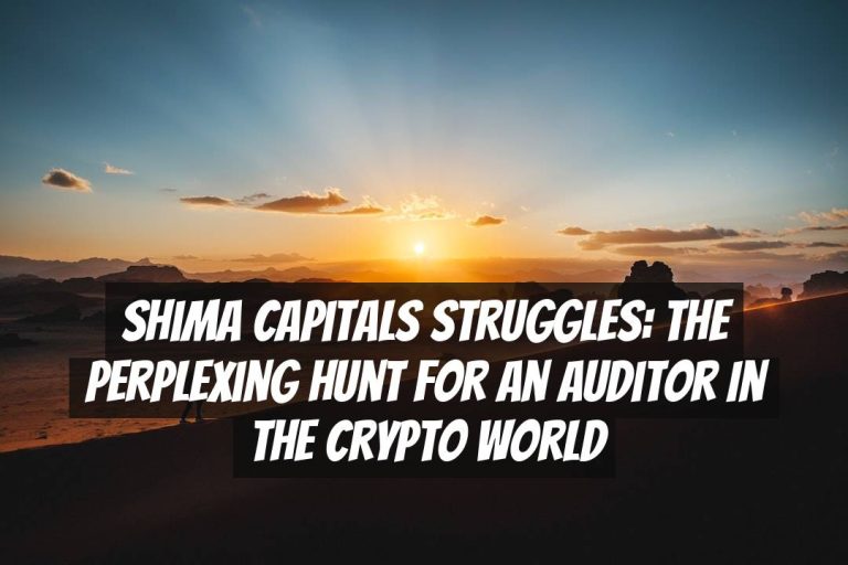 Shima Capitals Struggles: The Perplexing Hunt for an Auditor in the Crypto World