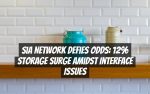 Sia Network Defies Odds: 12% Storage Surge Amidst Interface Issues