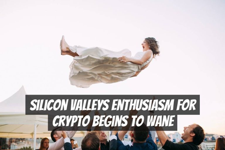 Silicon Valleys Enthusiasm for Crypto Begins to Wane