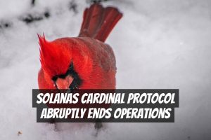 Solanas Cardinal Protocol Abruptly Ends Operations