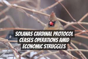 Solanas Cardinal Protocol Ceases Operations Amid Economic Struggles