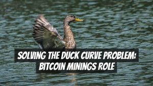 Solving the Duck Curve Problem: Bitcoin Minings Role