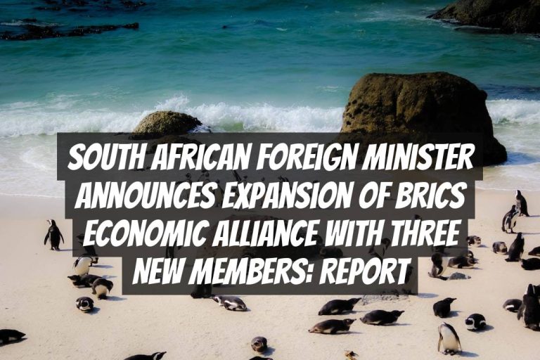 South African Foreign Minister Announces Expansion of BRICS Economic Alliance with Three New Members: Report