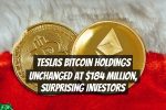 Teslas Bitcoin Holdings Unchanged at $184 Million, Surprising Investors