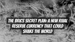 The BRICS Secret Plan: A New Rival Reserve Currency That Could Shake the World