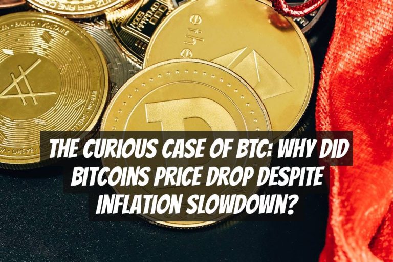 The Curious Case of BTC: Why Did Bitcoins Price Drop Despite Inflation Slowdown?