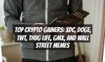 Top Crypto Gainers: XDC, DOGE, TWT, Thug Life, GMX, and Wall Street Memes