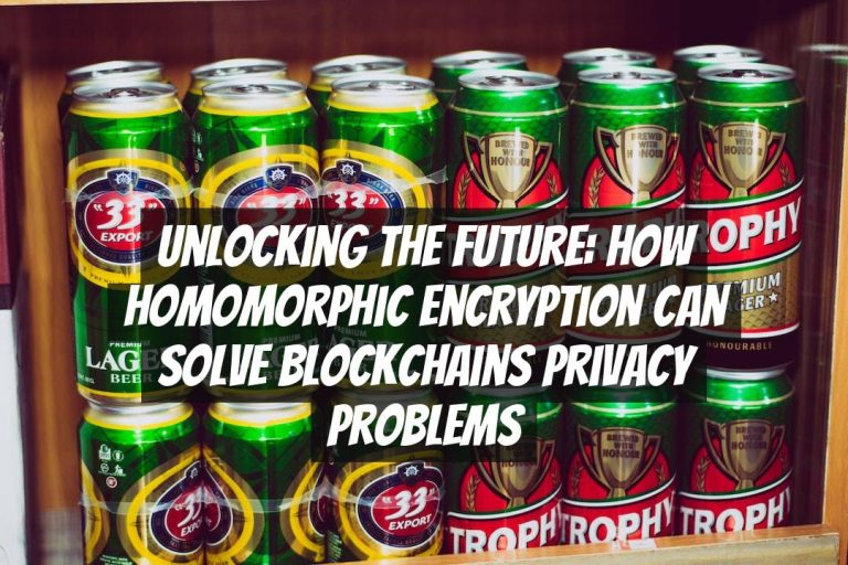 Unlocking the Future: How Homomorphic Encryption Can Solve Blockchains Privacy Problems