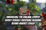 Unraveling the Enigma: Crypto Expert Reveals Shocking Reasons Behind Market Crash