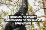 Unraveling the Mystery: Understanding the True Value of Bored Ape NFTs