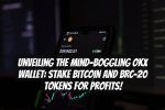 Unveiling the Mind-Boggling OKX Wallet: Stake Bitcoin and BRC-20 Tokens for Profits!