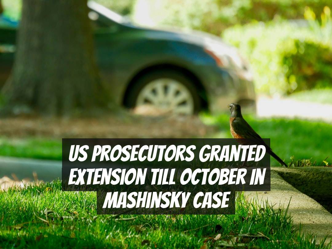 US Prosecutors Granted Extension Till October in Mashinsky Case