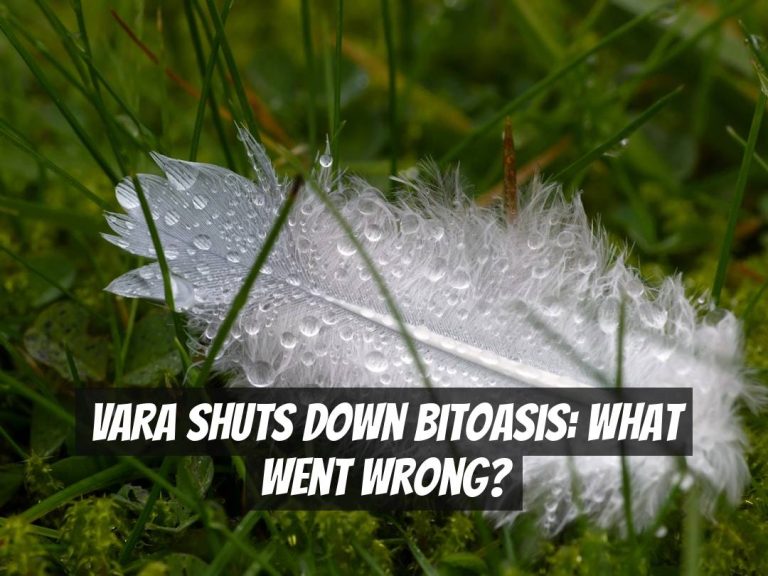 VARA Shuts Down Bitoasis: What Went Wrong?