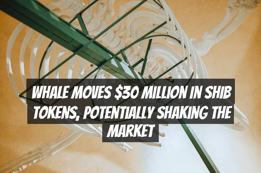 Whale Moves $30 Million in SHIB Tokens, Potentially Shaking the Market