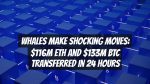 Whales Make Shocking Moves: $116M ETH and $133M BTC Transferred in 24 Hours