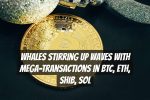 Whales Stirring Up Waves with Mega-Transactions in BTC, ETH, SHIB, SOL