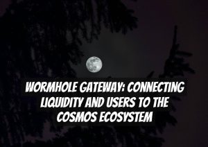 Wormhole Gateway: Connecting Liquidity and Users to the Cosmos Ecosystem