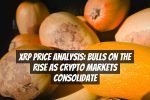 XRP Price Analysis: Bulls on the Rise as Crypto Markets Consolidate