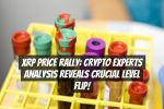 XRP Price Rally: Crypto Experts Analysis Reveals Crucial Level Flip!